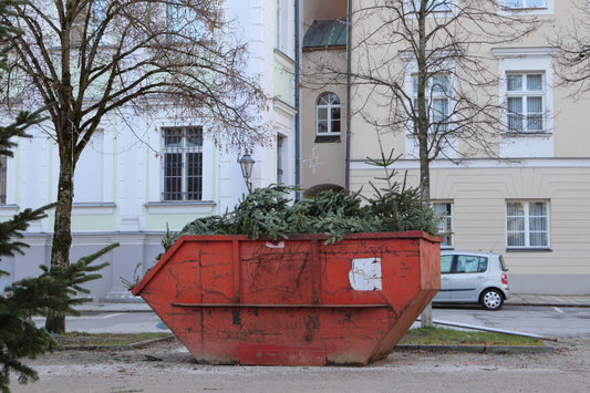 Weihnachtsbaumentsorgung: jedes Jahr das gleiche traurige Bild