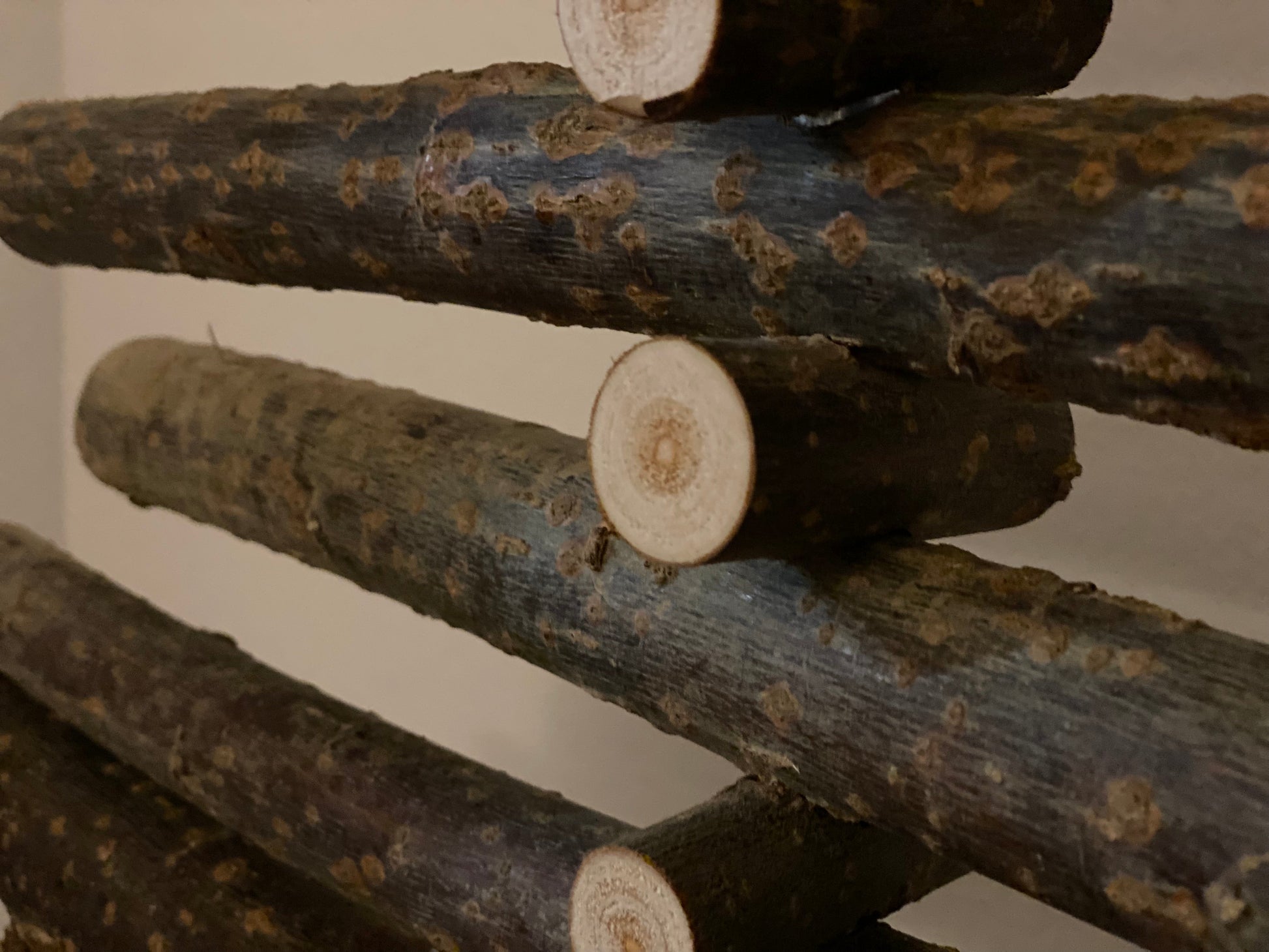 holzweihnachtsbaum xl (1,8m) mit spacer