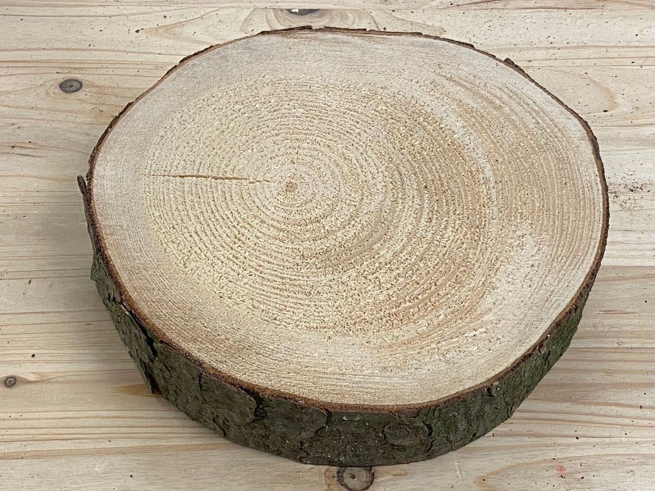 scheiben holzscheiben baumscheiben - 5 stk.